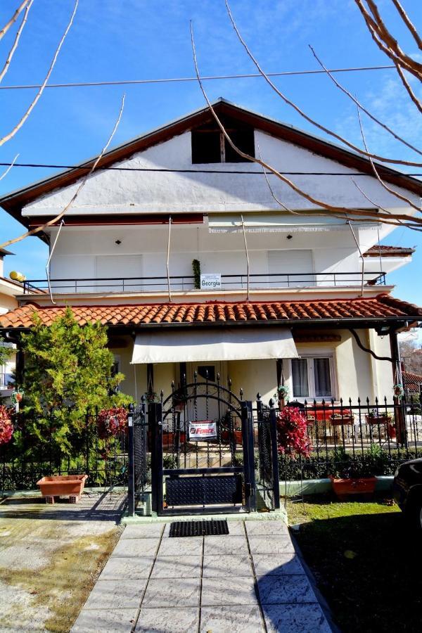 Zeusplace Georgia House Apartment Leptokaryá Ngoại thất bức ảnh