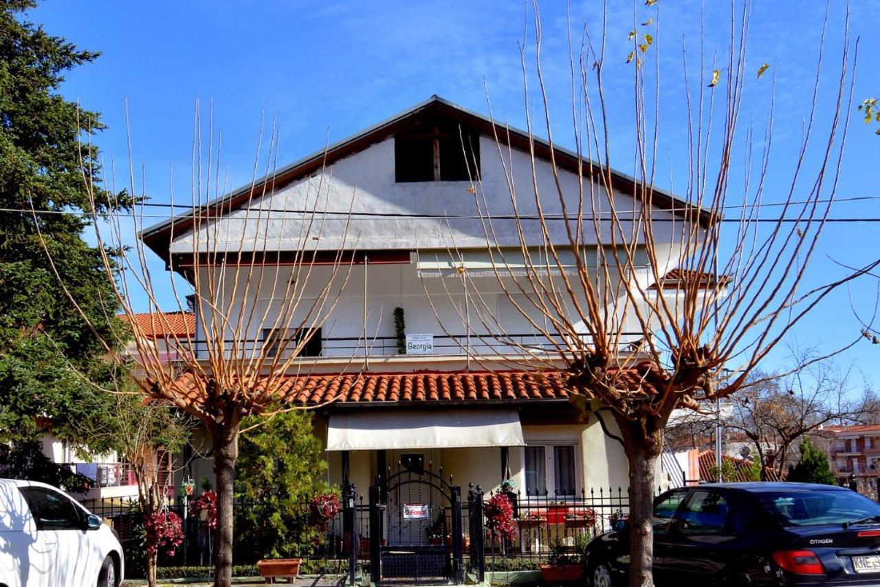 Zeusplace Georgia House Apartment Leptokaryá Ngoại thất bức ảnh