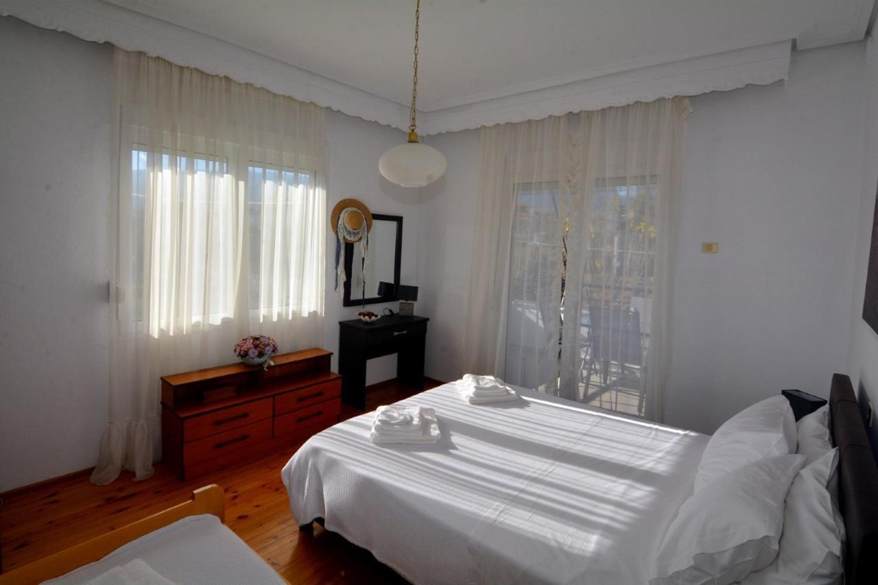 Zeusplace Georgia House Apartment Leptokaryá Ngoại thất bức ảnh