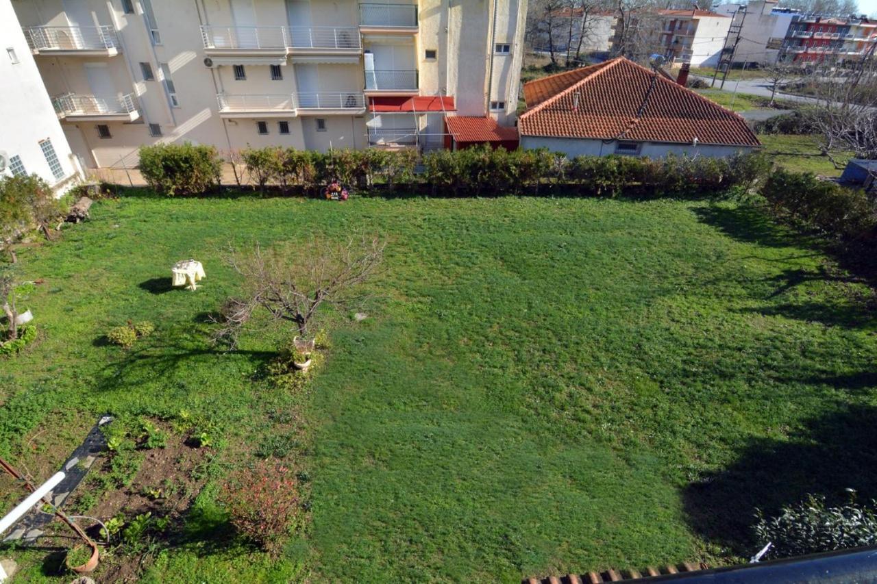 Zeusplace Georgia House Apartment Leptokaryá Ngoại thất bức ảnh