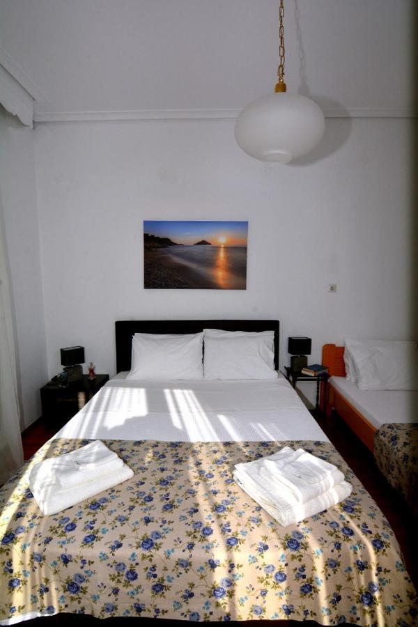 Zeusplace Georgia House Apartment Leptokaryá Ngoại thất bức ảnh